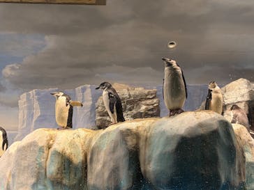 名古屋港水族館に投稿された画像（2026/1/31）