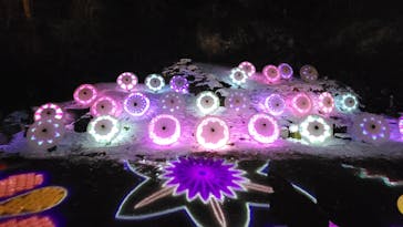 ぎふ灯り物語 ２０２６に投稿された画像（2026/1/31）