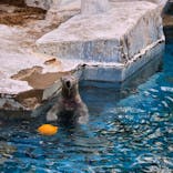 天王寺動物園に投稿された画像（2026/1/31）