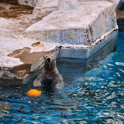 天王寺動物園に投稿された画像（2026/1/31）