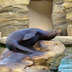 天王寺動物園に投稿された画像（2026/1/31）