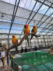 掛川花鳥園に投稿された画像（2026/1/31）