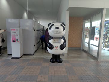 アドベンチャーワールドに投稿された画像（2026/1/31）