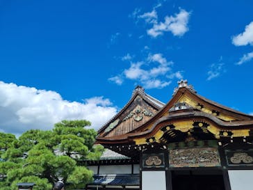 元離宮二条城に投稿された画像（2026/1/31）