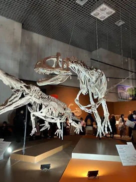 特別展「大絶滅展―生命史のビッグファイブ」に投稿された画像（2026/1/31）