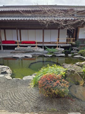 仙巌園に投稿された画像（2026/1/31）