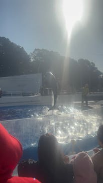 九十九島水族館海きららに投稿された画像（2026/1/31）