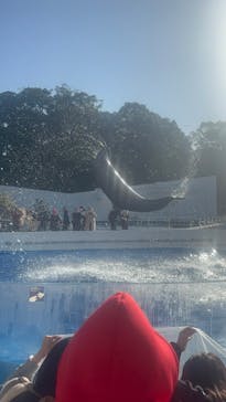 九十九島水族館海きららに投稿された画像（2026/1/31）