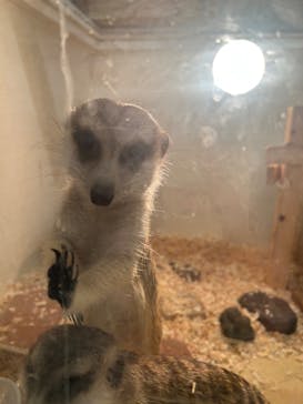 アニタッチ MARK IS 静岡に投稿された画像（2026/1/31）