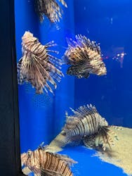 浜名湖体験学習施設ウォットに投稿された画像（2026/1/31）