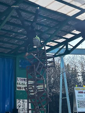 宇都宮動物園に投稿された画像（2026/1/31）