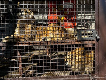 宇都宮動物園に投稿された画像（2026/1/31）