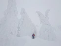 阿仁スキー場に投稿された画像（2026/1/31）