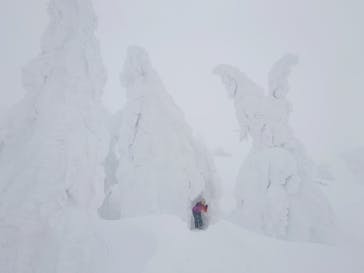 阿仁スキー場に投稿された画像（2026/1/31）