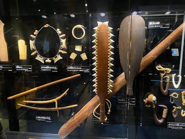 国立科学博物館に投稿された画像（2026/1/31）