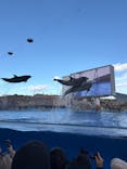 名古屋港水族館に投稿された画像（2026/1/31）