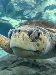 名古屋港水族館に投稿された画像（2026/1/31）