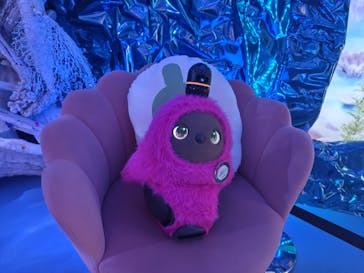 ひらかたパークに投稿された画像（2026/1/31）