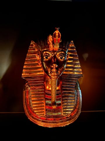 MYSTERY OF TUTANKHAMEN 体感型古代エジプト展の口コミ ｜一度は訪れて
