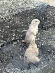 横浜・八景島シーパラダイスに投稿された画像（2026/1/31）