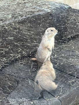 横浜・八景島シーパラダイスに投稿された画像（2026/1/31）