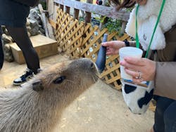 横浜・八景島シーパラダイスに投稿された画像（2026/1/31）