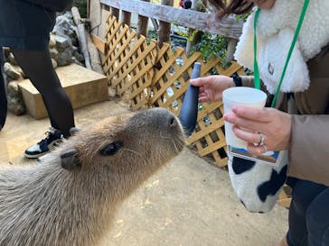 横浜・八景島シーパラダイスに投稿された画像（2026/1/31）