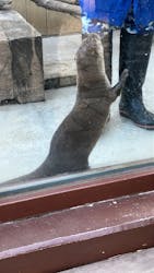 横浜・八景島シーパラダイスに投稿された画像（2026/1/31）