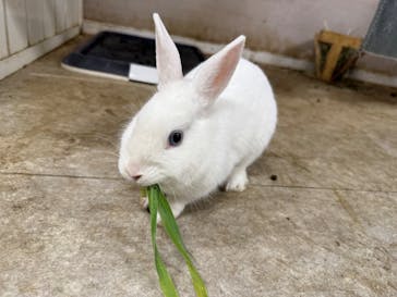 アニタッチ 東京ドームシティに投稿された画像（2026/1/31）