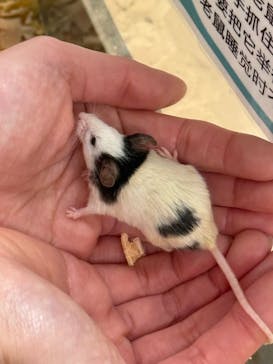 アニタッチ 東京ドームシティに投稿された画像（2026/1/31）