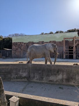 東武動物公園に投稿された画像（2026/1/31）