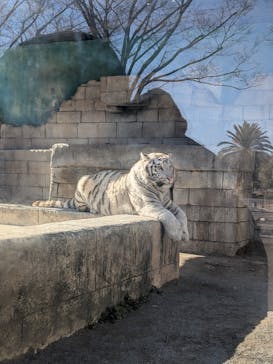 東武動物公園に投稿された画像（2026/1/31）