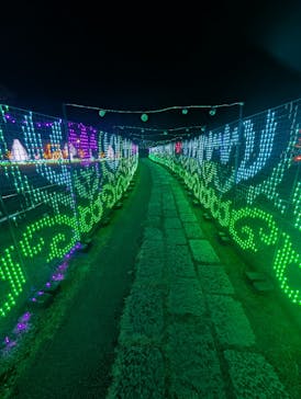 つま恋イルミネーションに投稿された画像（2026/1/31）