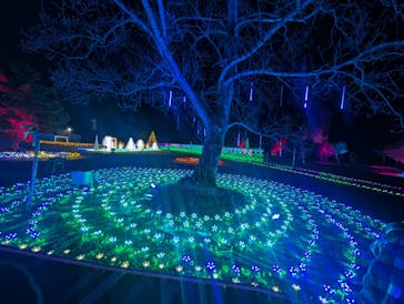 つま恋イルミネーションに投稿された画像（2026/1/31）