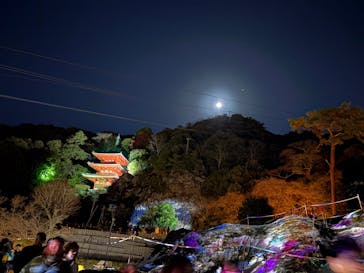 ぎふ灯り物語 ２０２６に投稿された画像（2026/1/31）