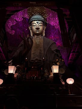 ぎふ灯り物語 ２０２６に投稿された画像（2026/1/31）