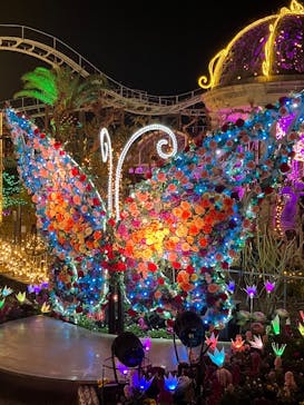 ひらかたパークに投稿された画像（2026/1/31）