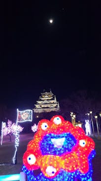大阪城イルミナージュに投稿された画像（2026/1/31）