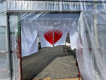 花祭いちごの谷に投稿された画像（2026/1/31）