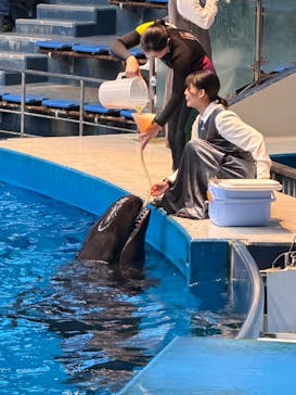 マクセル アクアパーク品川に投稿された画像（2026/1/31）