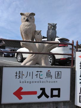掛川花鳥園に投稿された画像（2026/1/31）