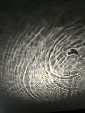 NIFREL（ニフレル）に投稿された画像（2026/1/31）