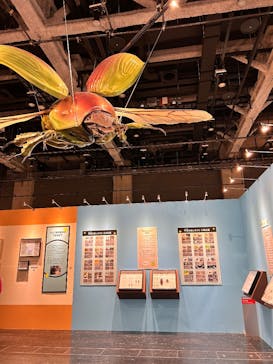 特別展「昆虫MANIAC」（名古屋会場）に投稿された画像（2026/1/31）