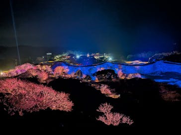 今帰仁城跡に投稿された画像（2026/1/31）