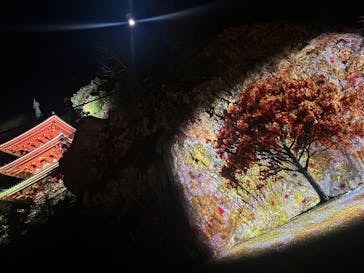 ぎふ灯り物語 ２０２６に投稿された画像（2026/1/31）