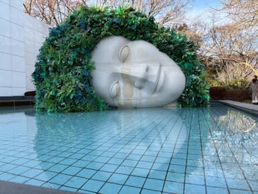 彫刻の森美術館に投稿された画像（2026/1/31）