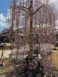 箱根ガラスの森美術館に投稿された画像（2026/1/31）