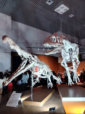 特別展「大絶滅展―生命史のビッグファイブ」に投稿された画像（2026/1/31）