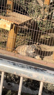 名古屋市東山動植物園に投稿された画像（2026/1/31）