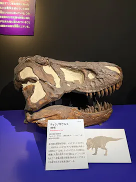 特別展「大絶滅展―生命史のビッグファイブ」に投稿された画像（2026/1/31）